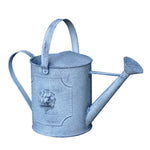 Arrosoir zinc deco