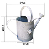 Decorative zinc watering can