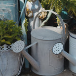 arrosoir deco zinc