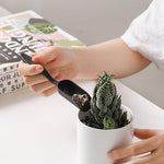 outil de jardinage plante grasse