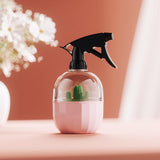 vaporisateur rose cactus