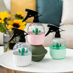 vaporisateur plante grasse