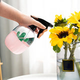 vaporisateur plante intérieur