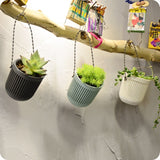 arrosage pot suspendu