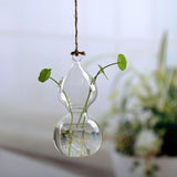 vase hydroponique
