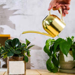 arrosoir théière doré