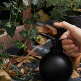 vaporisateur plante